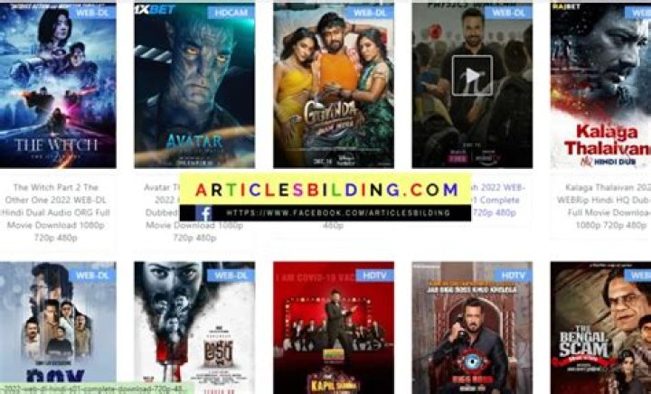 Bolly4u: Watch & Download Movies Free? What You Need to Know