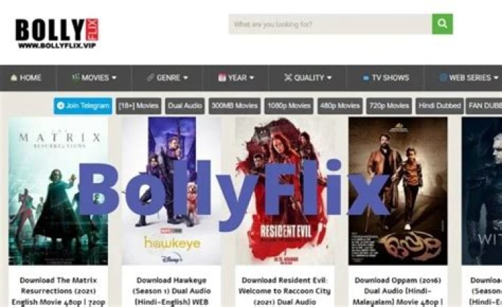 Bollyflix: Alternatives, Streaming Options & More - [2024 Guide]