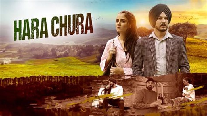 DownloadHub Punjabi Movie: What You Need to Know About Finding Films Online