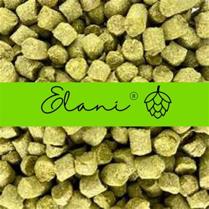 Elani Nassif: Reviews, Bio, and More