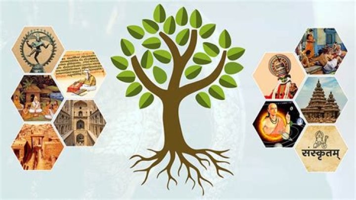 Exploring the Discourse Around Iransex: Cultural Insights and Societal Perceptions