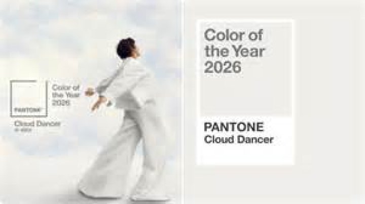 Exploring the Meaning of "Forest Whore"