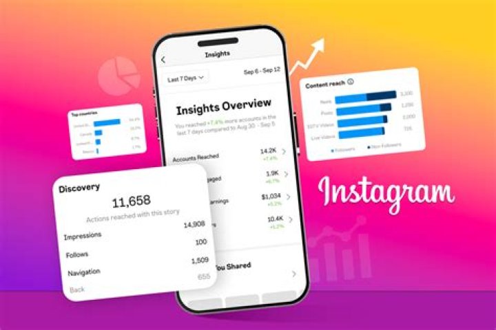 Instagram Insights: Your Guide to Success