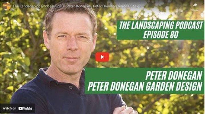 Peter Donegan's Net Worth: Music & Success
