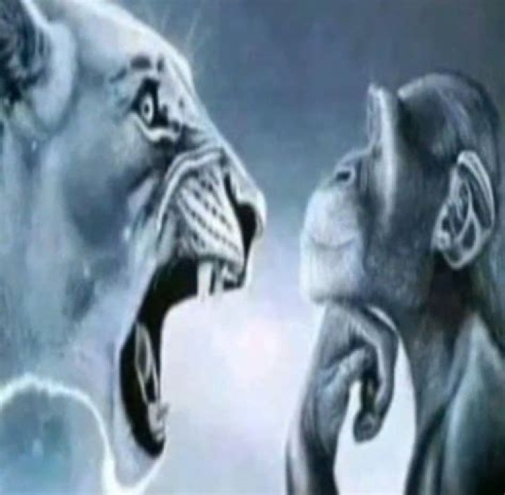 The Roar Heard 'Round the Internet: Why the Lion Yelling at Monkey Meme Still Makes Us Chuckle