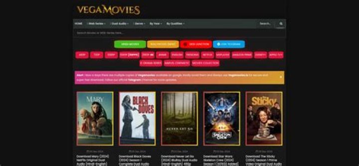 Vegamovies.ps: Watch Movies? Is It Safe & Legal? 2024 Guide