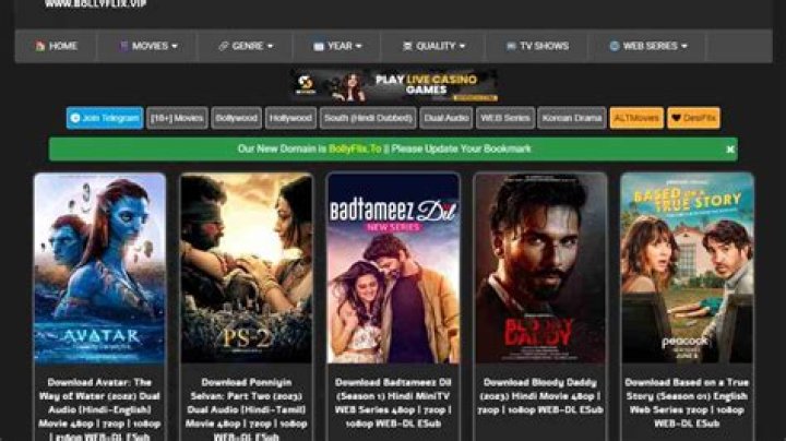 Watch Bollywood Movies Online: BollyFlix Streaming Guide